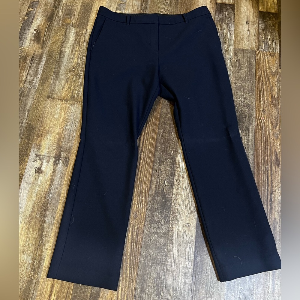 Ann Taylor trouser pant.